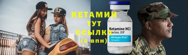 шишки Новодвинск