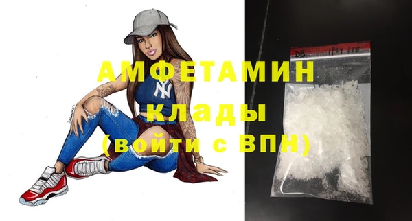 шишки Новодвинск