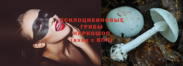 стафф Новокубанск