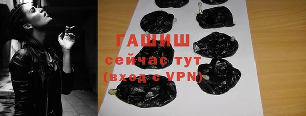 шишки Новодвинск