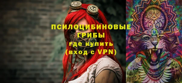 стафф Новокубанск