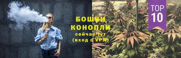 ГАЛЛЮЦИНОГЕННЫЕ ГРИБЫ Новозыбков