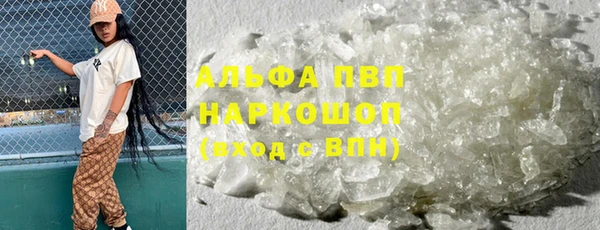шишки Новодвинск