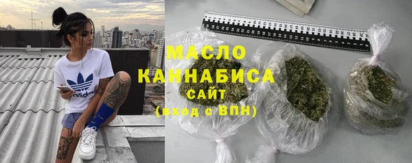 шишки Новодвинск