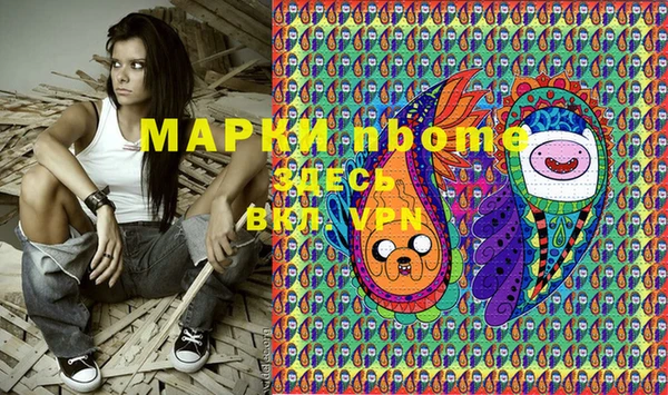 ГАЛЛЮЦИНОГЕННЫЕ ГРИБЫ Новозыбков