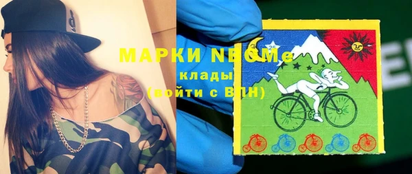 шишки Новодвинск