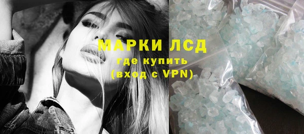 ГАЛЛЮЦИНОГЕННЫЕ ГРИБЫ Новозыбков