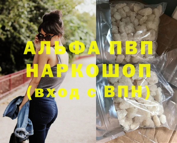 шишки Новодвинск