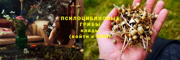 стафф Новокубанск