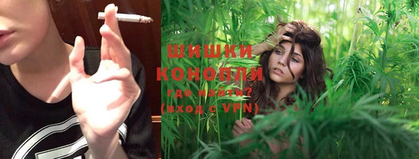 стафф Новокубанск