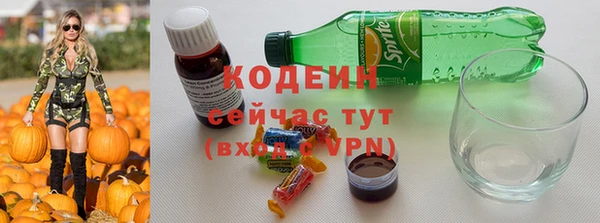 ГАЛЛЮЦИНОГЕННЫЕ ГРИБЫ Новозыбков