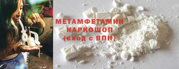 шишки Новодвинск