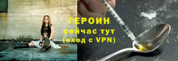 шишки Новодвинск