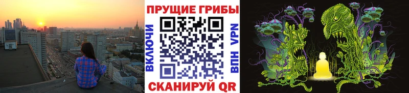 Псилоцибиновые грибы Psilocybe  Похвистнево 