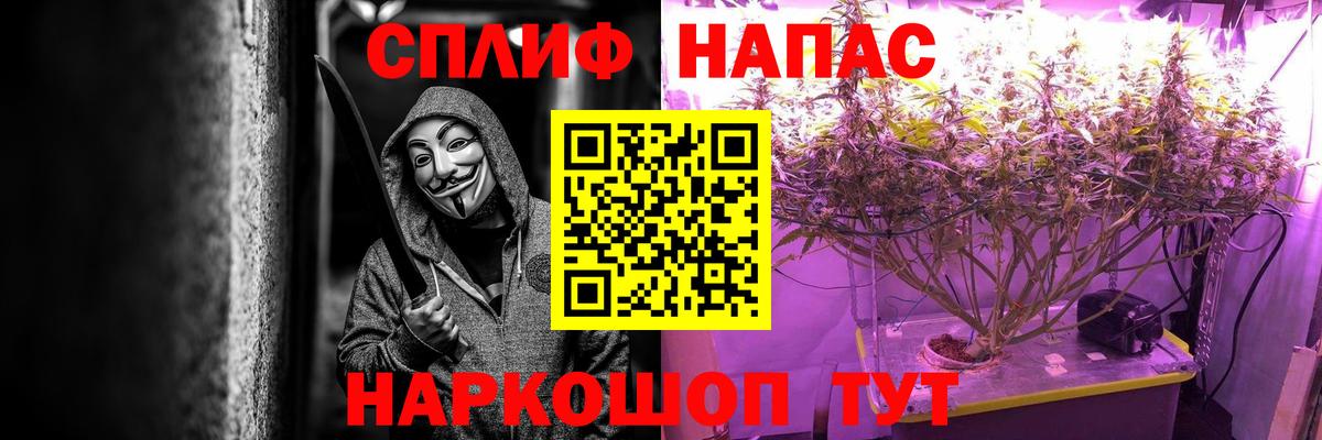 Каннабис семена  Вход с VPN  Каннабис семена  Похвистнево  Канабис White Widow  Бошки Шишки план 